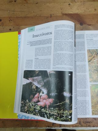 Enciclopedia Temática Guinness