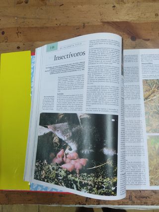 Enciclopedia Temática Guinness