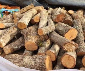 Venta de Leña de Olivo de Caña