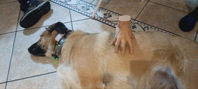 Mano Miércoles Tamaño Real 3D