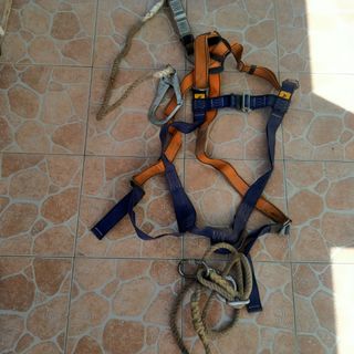 Arnes