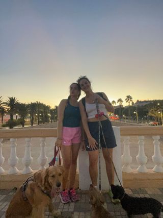 Paseo y cuidado de perros/animales. Pension canina