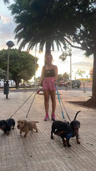 Paseo y cuidado de perros/animales. Pension canina