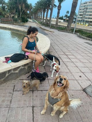 Paseo y cuidado de perros/animales. Pension canina