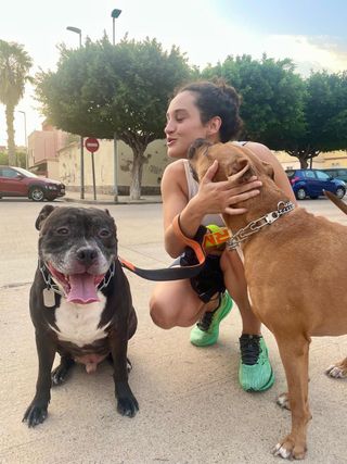 Paseo y cuidado de perros/animales. Pension canina