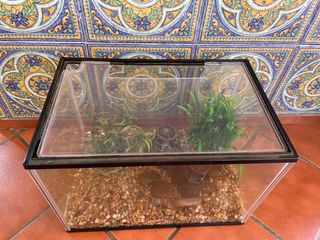 acuario terrario 20L