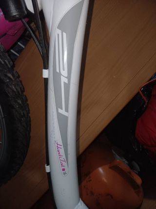 Bicicleta 24