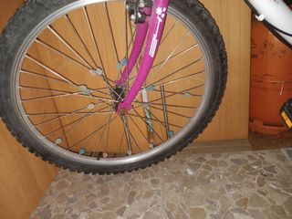 Bicicleta 24