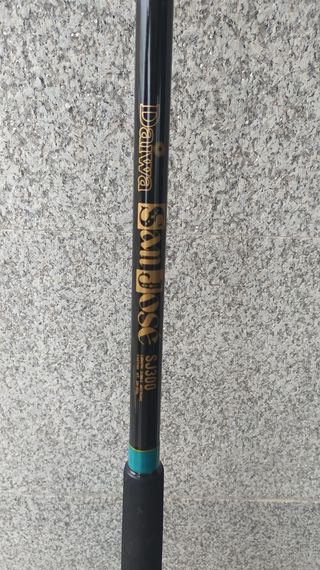 Cañas de pesca para siluro