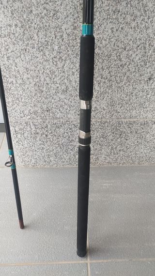 Cañas de pesca para siluro