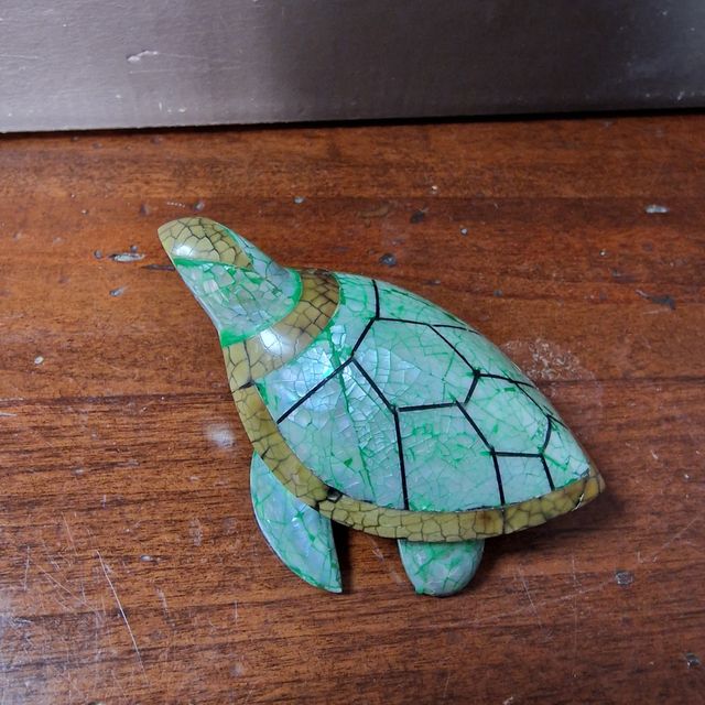 🐢 Tartaruga in madreperla