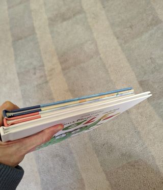 LOTE 3 libros ilustrados con pictogramas