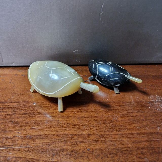 Rara coppia di Tartarughe 🐢 🐢