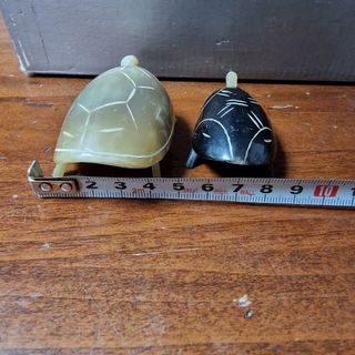 Rara coppia di Tartarughe 🐢 🐢