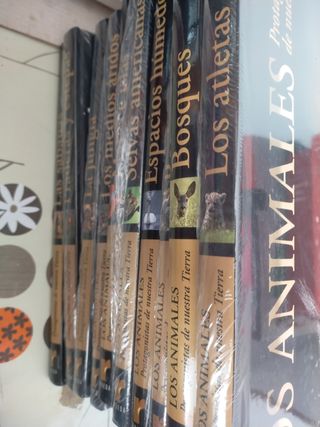 Los animales
