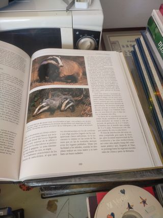 Los animales