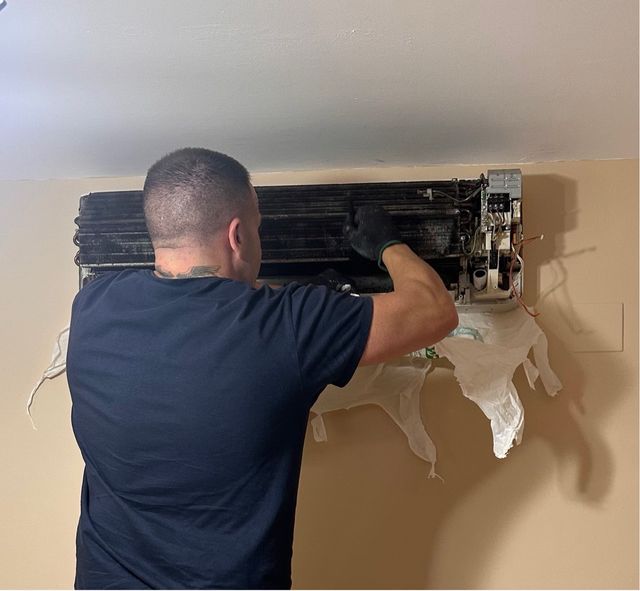 Limpieza y mantenimiento