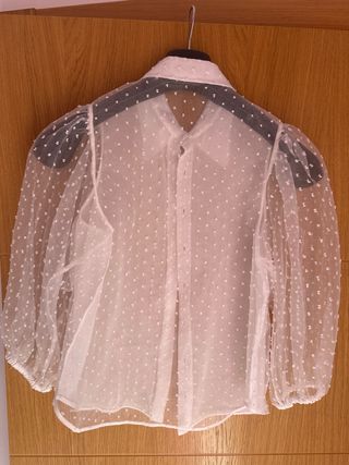 Camisa vestir plumeti