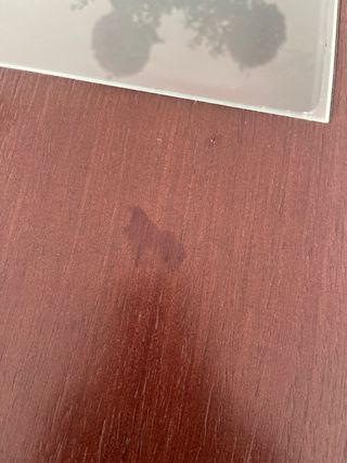 Mesa de nadera maciza con un juego de 6 sillas