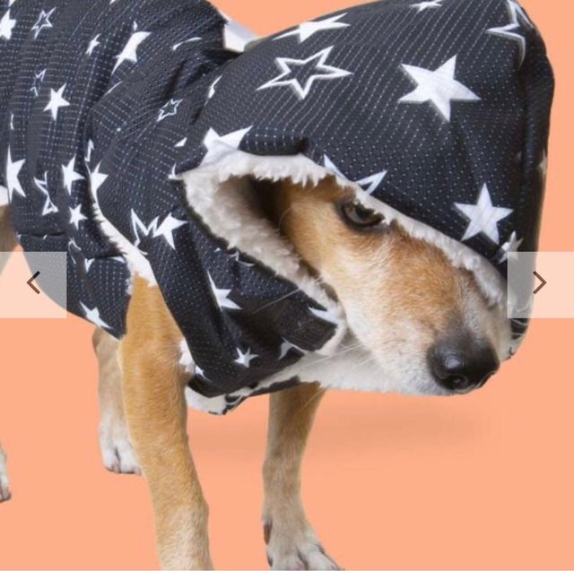 CHUBASQUERO DE PERRITO