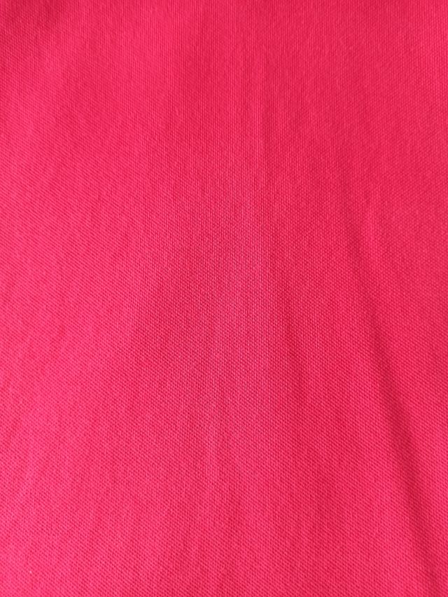 Polo Rojo Springfield