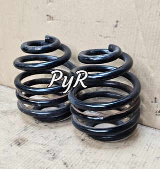 Muelles traseros Audi S3 8L