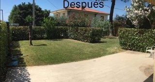 Limpieza de parcelas