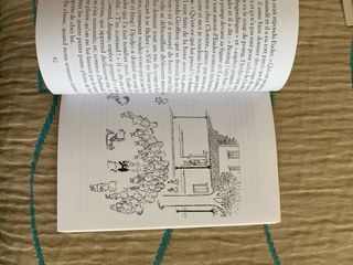 Libros frances ,lote dos