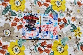 Variant ha cover My Hero academia