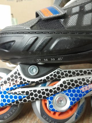 Patines de linea