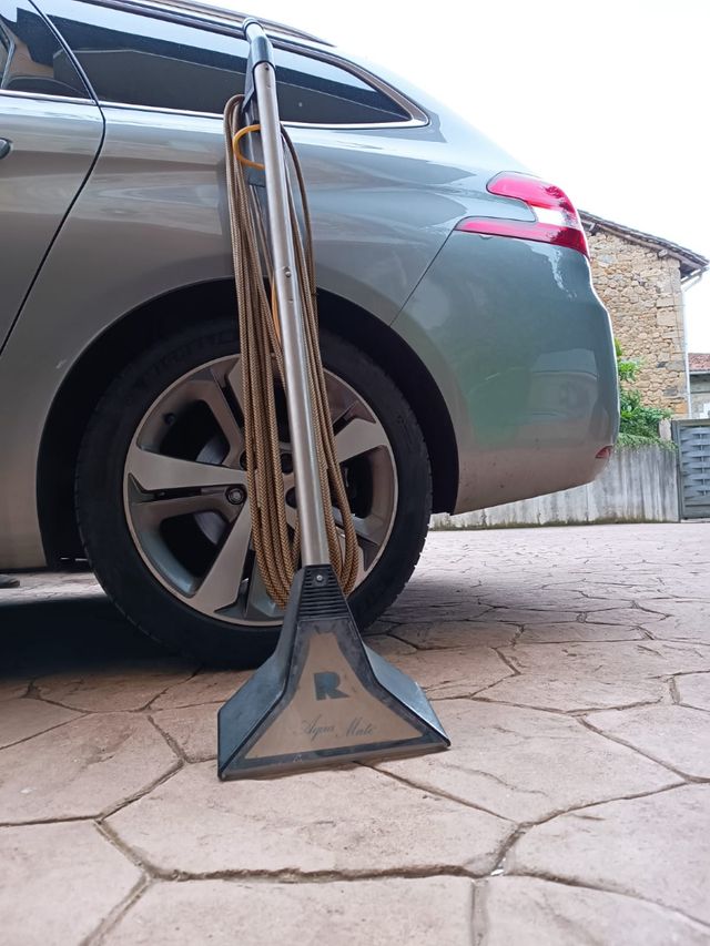 Limpiador alfombras en humedo Rainbow