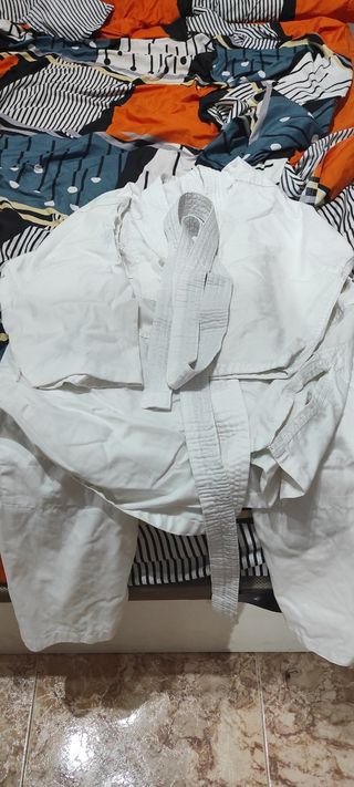 Mono de kárate