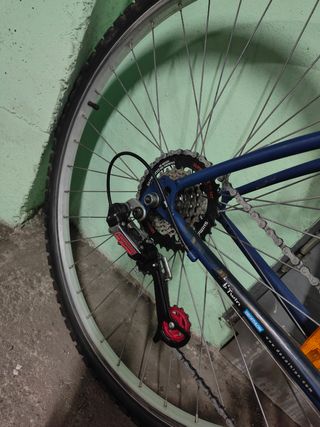 Bicicleta de paseo.