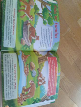45 Libros infantiles sobre animales