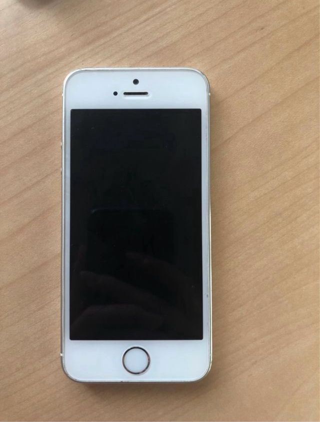 apple Iphone 5s 16g