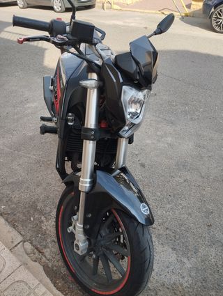 Benelli bn 251