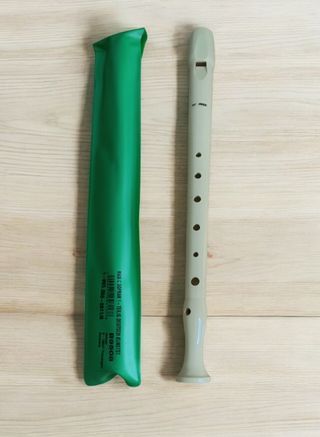 Flauta con funda