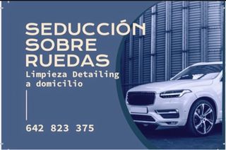 Servicio detailing