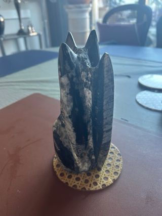 Torre fosil Orthoceras