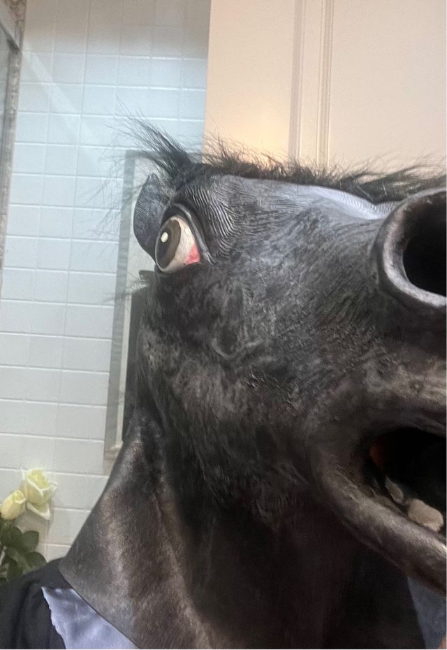 Cabeza caballo mascara