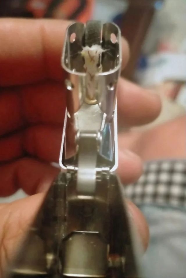 Mecheros ZiPPO LIMITED EDITION originales ¡NUEVOS!