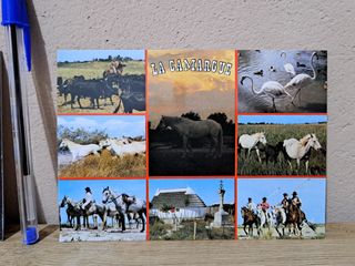 Cartoline La Camargue set con 2