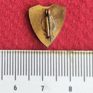 Antigua Insignia Fútbol