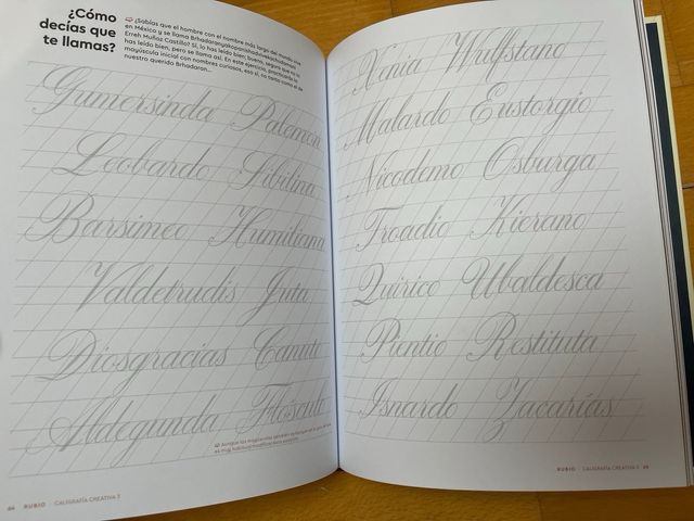 Caligrafía creativa (RUBIO)