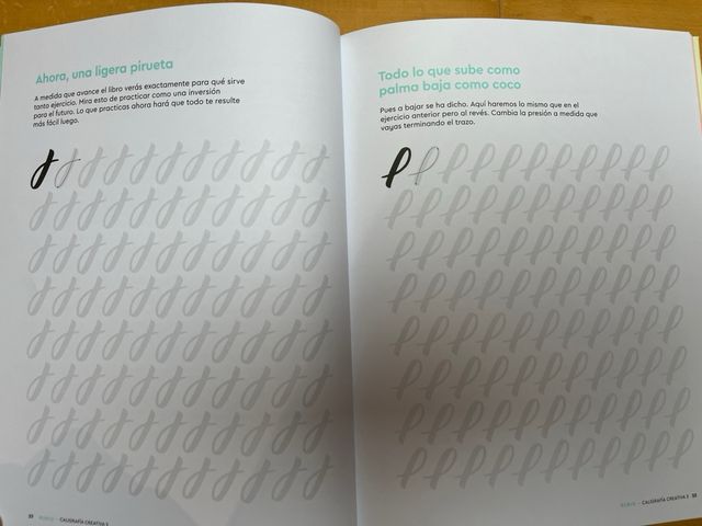 Caligrafía creativa (RUBIO)