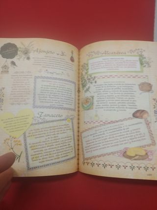 Plantas Silvestres, infusiones y tisanas