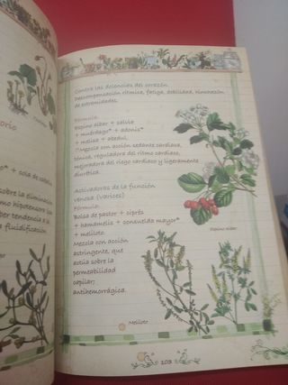 Plantas Silvestres, infusiones y tisanas