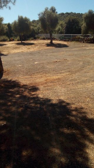 Monte para extracción de leña