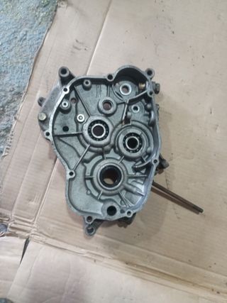 Lado derecho Carter am6