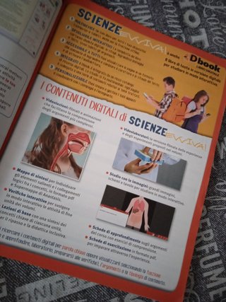 Scienze Evviva il corpo umano